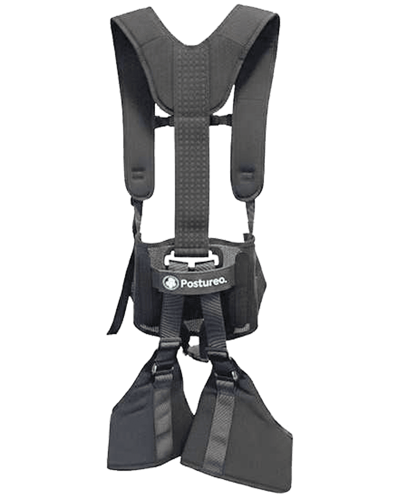 Exosquelette dorsal Dominique sur fond clair