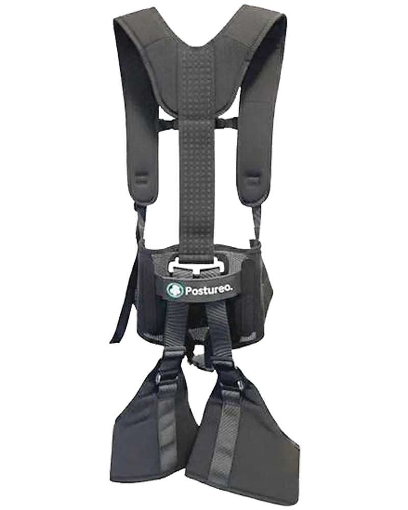 Exosquelette dorsal Dominique sur fond clair