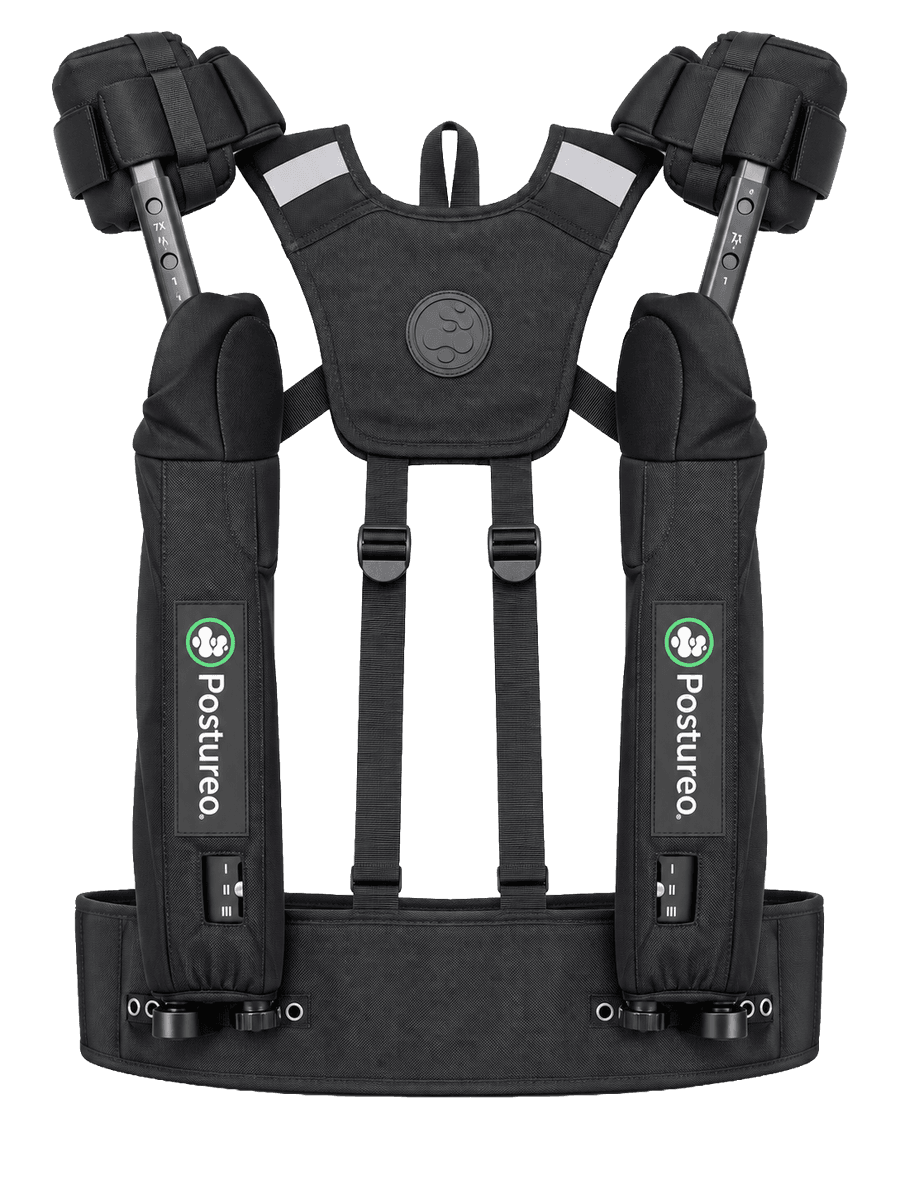 Exosquelette des bras Paulette sur fond clair