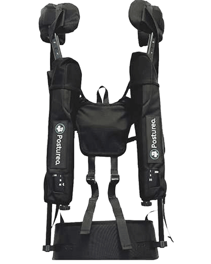 Exosquelette des bras Paulette sur fond clair