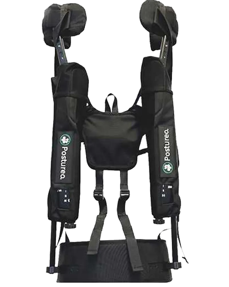 Exosquelette des bras Paulette sur fond clair